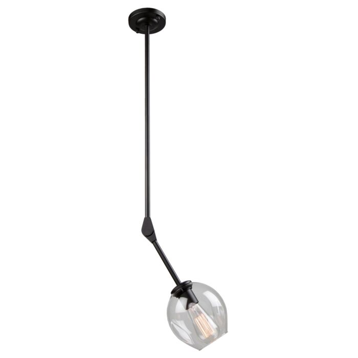 Artcraft Organic Pendant Light in Black