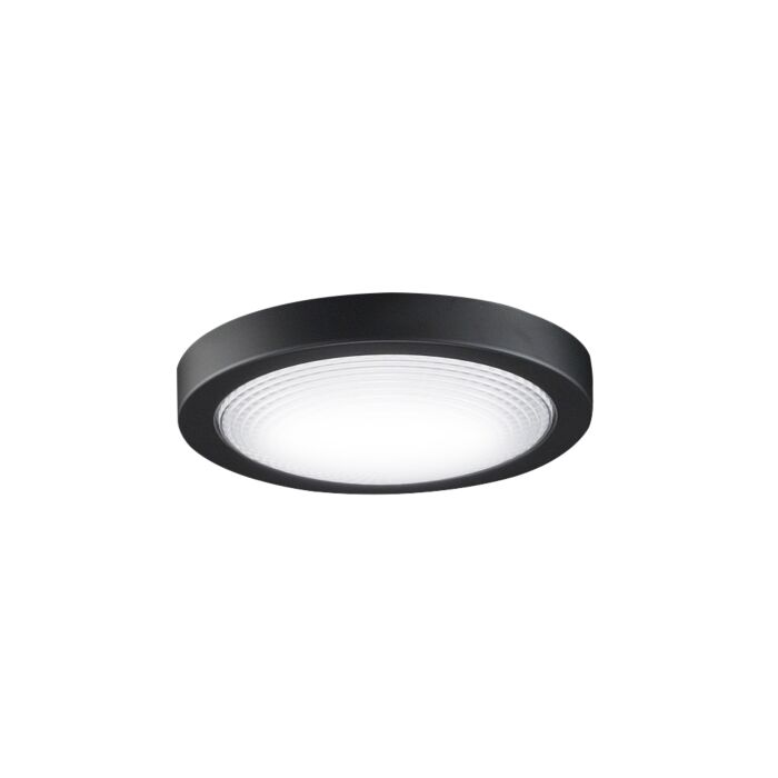 Fanimation Spitfire Ceiling Fan Light Kit in Black