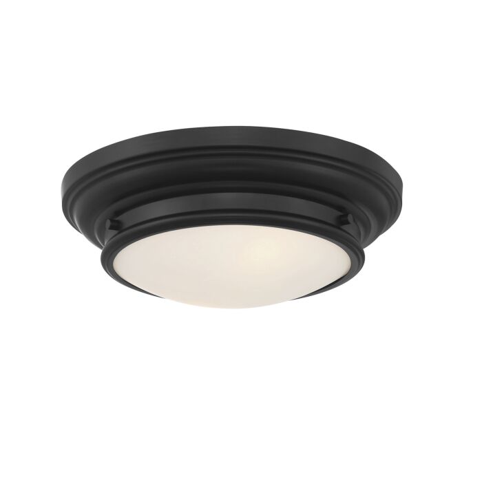 Trade Winds Lighting 2 Light Ceiling Light In Matte Black