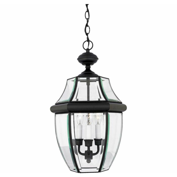Quoizel Newbury 3 Light 13 Inch Outdoor Hanging Light in Mystic Black