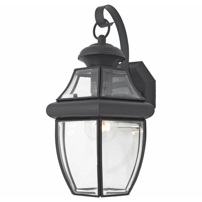Quoizel Newbury 8 Inch Outdoor Hanging Light in Mystic Black