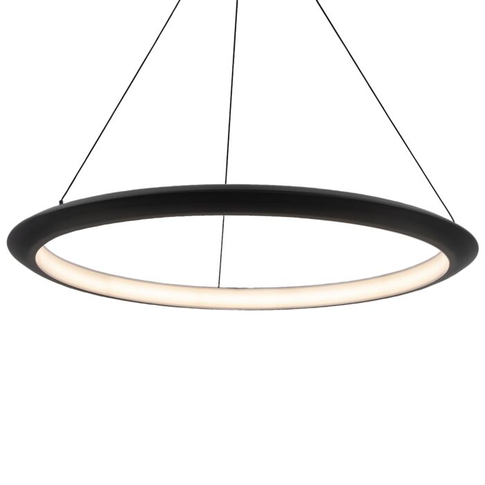 Modern Forms The Ring Pendant Light in Black