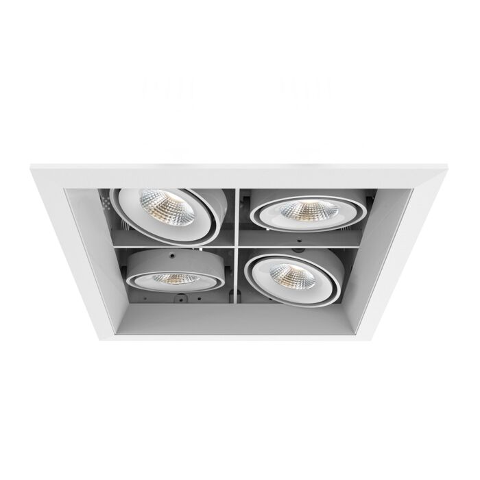 Eurofase Te134Bled 4 Light Recessed Light in Metal