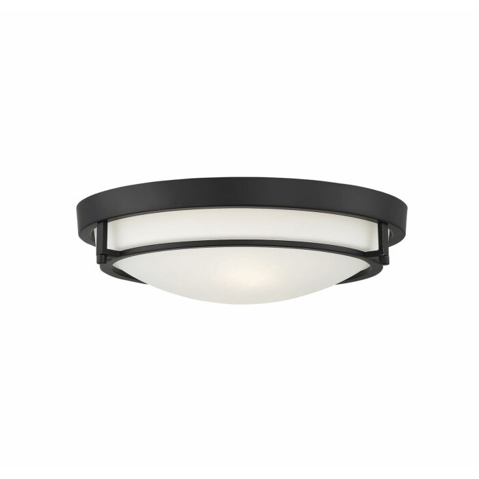 Trade Winds Felton 2 Light Flush Mount Ceiling Light in Matte Black