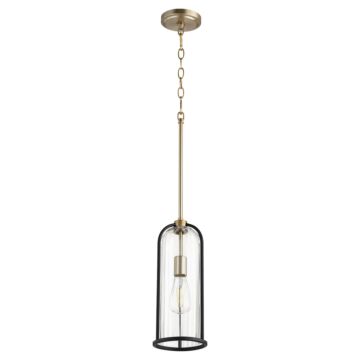 Espy One Light Pendant in Textured Black  Aged Brass by Quorum International