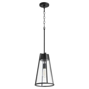 Pylon Pendants One Light Pendant in Textured Black  Clear by Quorum International