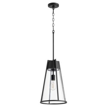 Pylon Pendants One Light Pendant in Textured Black  Clear by Quorum International