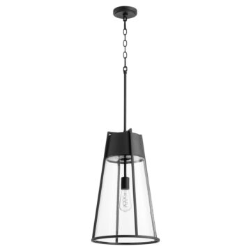 Pylon Pendants One Light Pendant in Textured Black  Clear by Quorum International