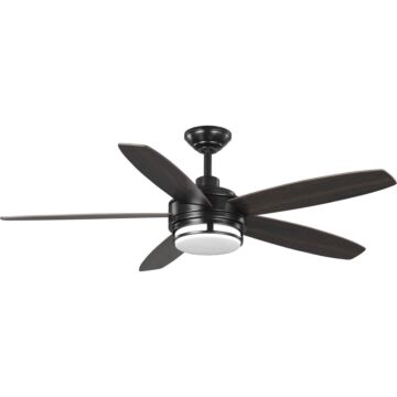 Albin 1-Light 54" Outdoor Ceiling Fan in Black