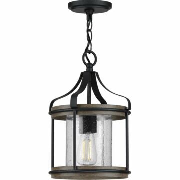 Brenham 1-Light Outdoor Pendant in Black