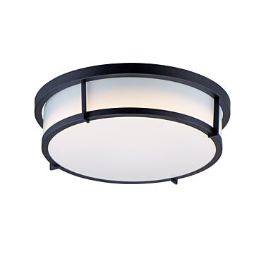 Maxim Rogue Ceiling Light in Black