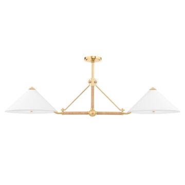Williamsburg Four Light Island Pendant in Aged Brass by Hudson Valley
