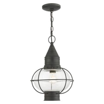 Newburyport 1-Light Outdoor Pendant in Charcoal