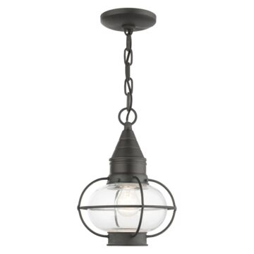 Newburyport 1-Light Outdoor Pendant in Charcoal