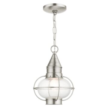 Newburyport 1-Light Outdoor Pendant in Brushed Nickel