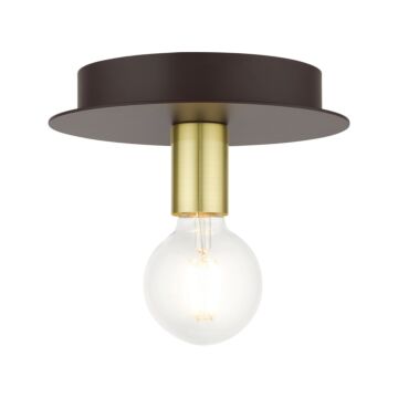 Hillview 1-Light Flush Mount in Bronze w with Satin Brasss