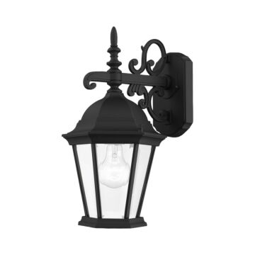 Hamilton 1-Light Outdoor Wall Lantern in Textured Black