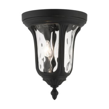 Oxford 2-Light Outdoor Ceiling Mount in Textured Black