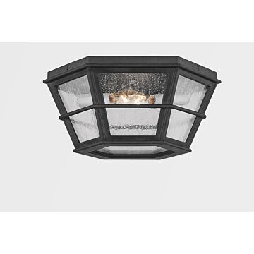 Lake County Two Light Flush Mount in French Iron by Troy Lighting