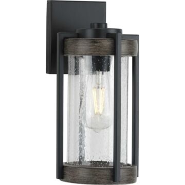Whitmire 1-Light Wall Lantern in Matte Black