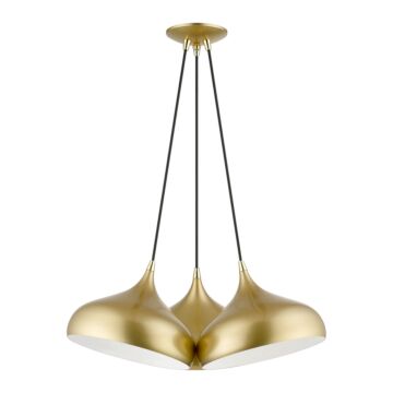 Amador 3-Light Pendant in Soft Gold w with Polished Brasss