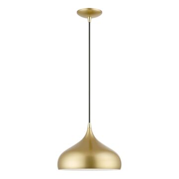 Amador 1-Light Pendant in Soft Gold w with Polished Brasss