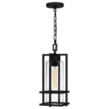 Damien One Light Outdoor Hanging Lantern in Earth Black by Quoizel