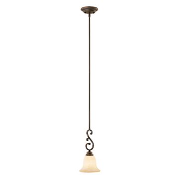 Millennium Lighting Oxford 1 Light Mini Pendant in Rubbed Bronze