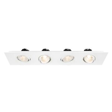 Four Light Downlight