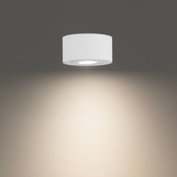 Peek LED Outdoor Flush Mount in White by W.A.C. Lighting