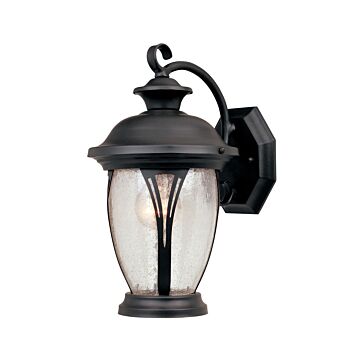 Westchester 1-Light Wall Lantern in Bronze
