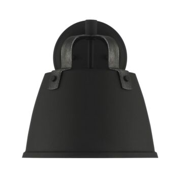 Albany 1-Light Wall Lantern in Black