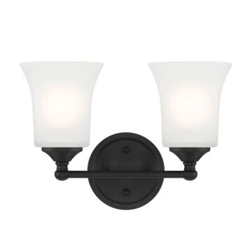 Bronson 2-Light Bathroom Vanity Light in Matte Black