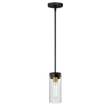Pinn One Light Mini Pendant in Black   Satin Brass by Maxim