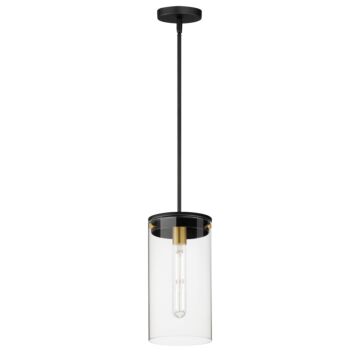 Pinn One Light Pendant in Black   Satin Brass by Maxim