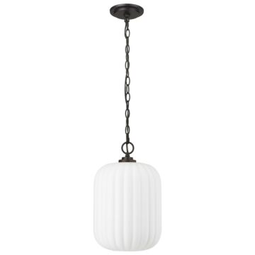 One Light Pendant by Acclaim Lighting