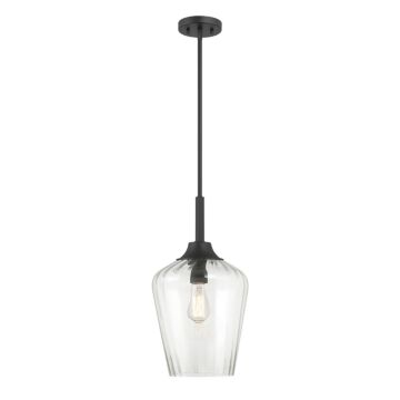 Carlton One Light Pendant in Matte Black by Savoy House