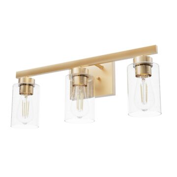Hunter Hartland 3-Light Bathroom Vanity Light in Alturas Gold