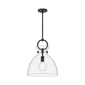 Waldo One Light Pendant in Matte Black Clear Glass by Alora