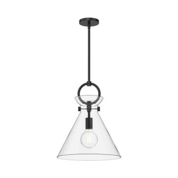 Emerson One Light Pendant in Matte Black Clear Glass by Alora