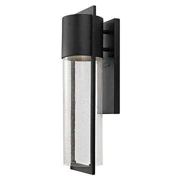 Hinkley Shelter 1-Light Outdoor Light In Black