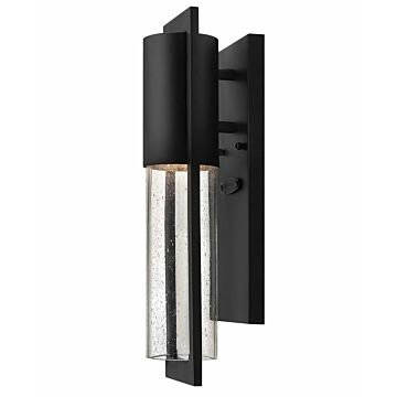 Hinkley Shelter 1-Light Outdoor Light In Black