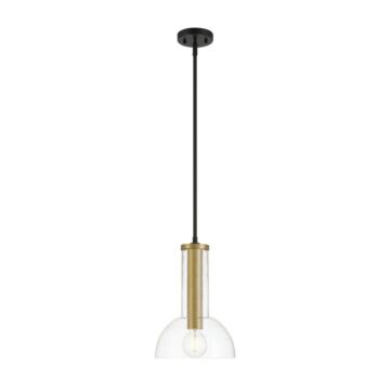 Nova 1-Light Pendant in Matte Black
