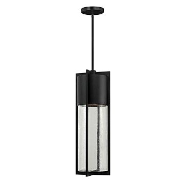 Hinkley Shelter 1-Light Outdoor Light In Black