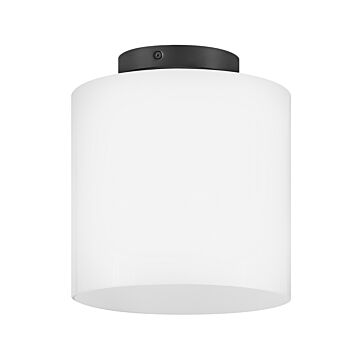 Pippa 1-Light LED Flush Mount in Black
