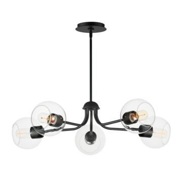 Knox Five Light Chandelier in Black by Maxim