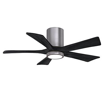 Irene-5HLK 42" Ceiling Fan in Brushed Pewter by Matthews Fan Company