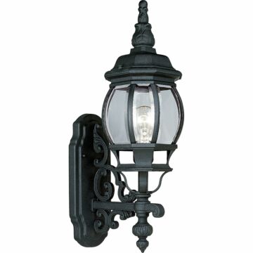 Onion Lantern 1-Light Wall Lantern in Textured Black