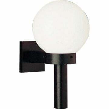 Globe 1-Light Wall Lantern in Black