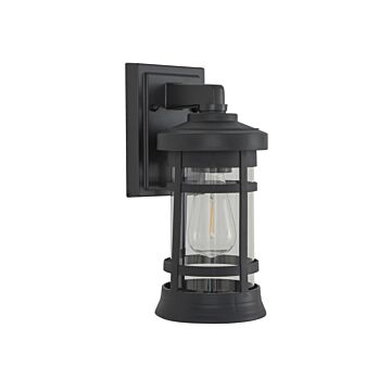 Resilience Lanterns One Light Outdoor Lantern in Textured Black by Craftmade